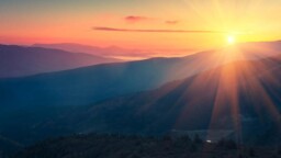 Leadership Coaching - Depth Coach